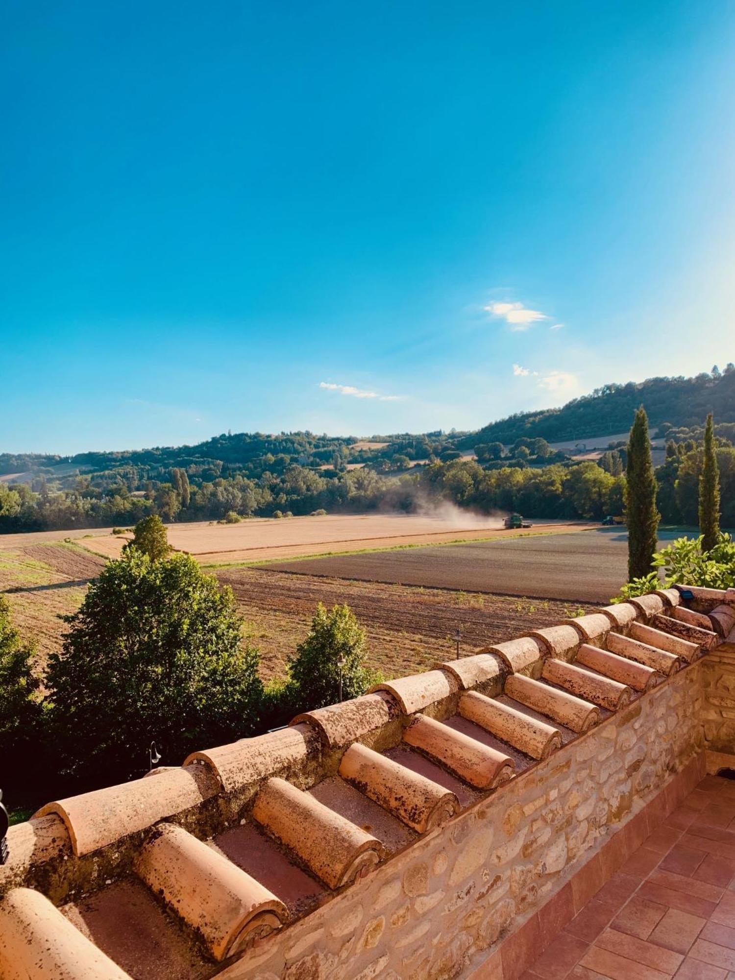 Agricola Caicucci Montone (Umbria)