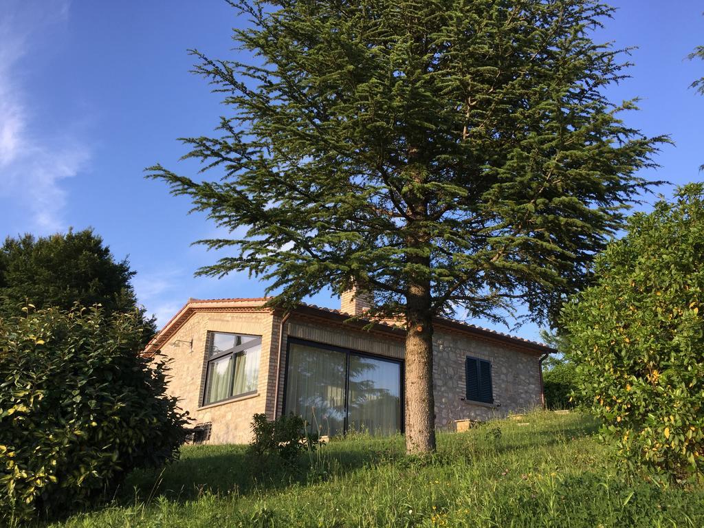Holiday home Agricola Caicucci Montone (Umbria)