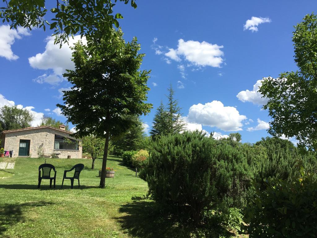 Agricola Caicucci *
