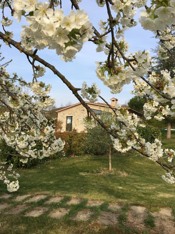 Agricola Caicucci Ferienhaus Montone (Umbria)